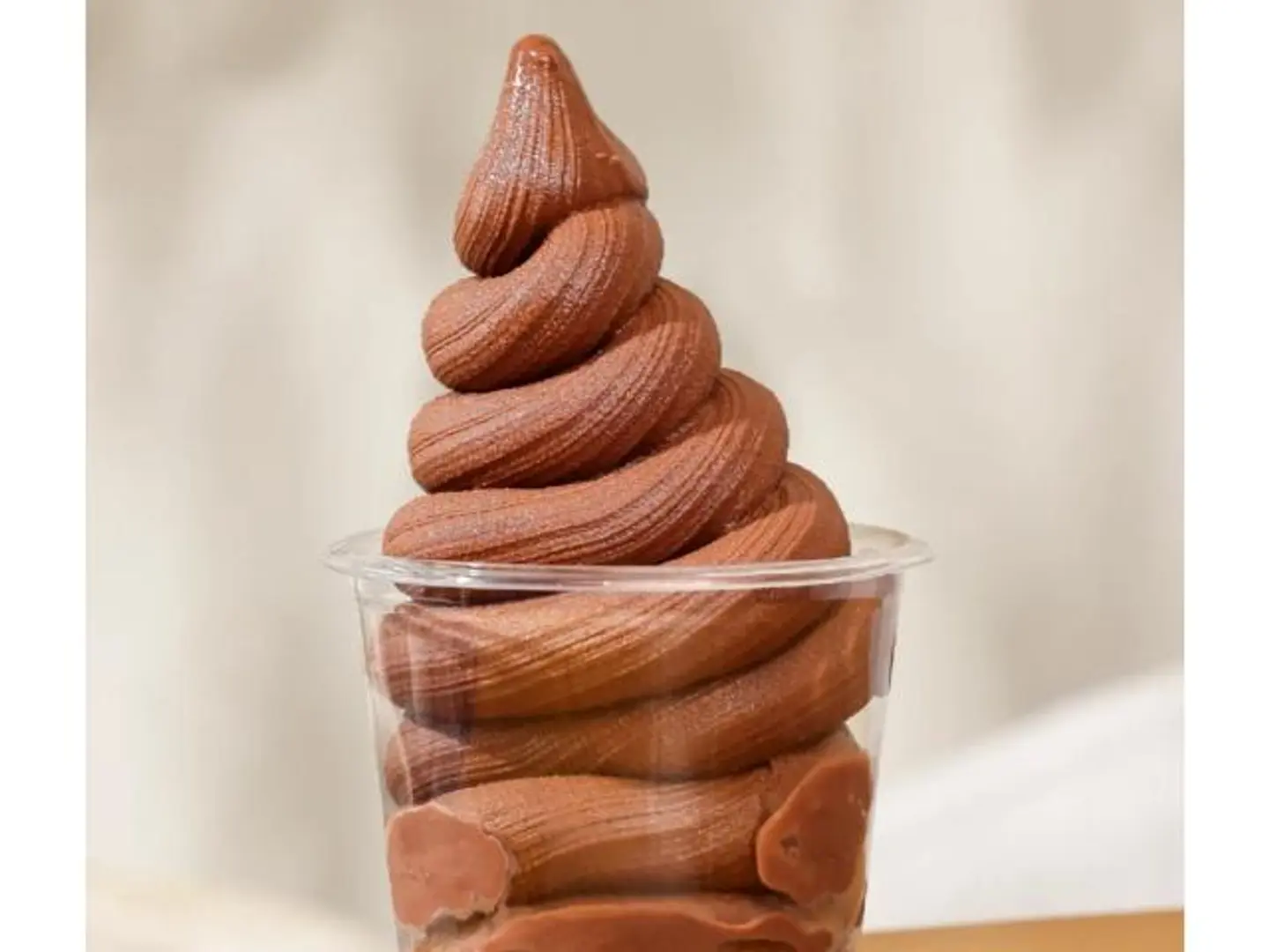 Chocolate Ice Cream - Small