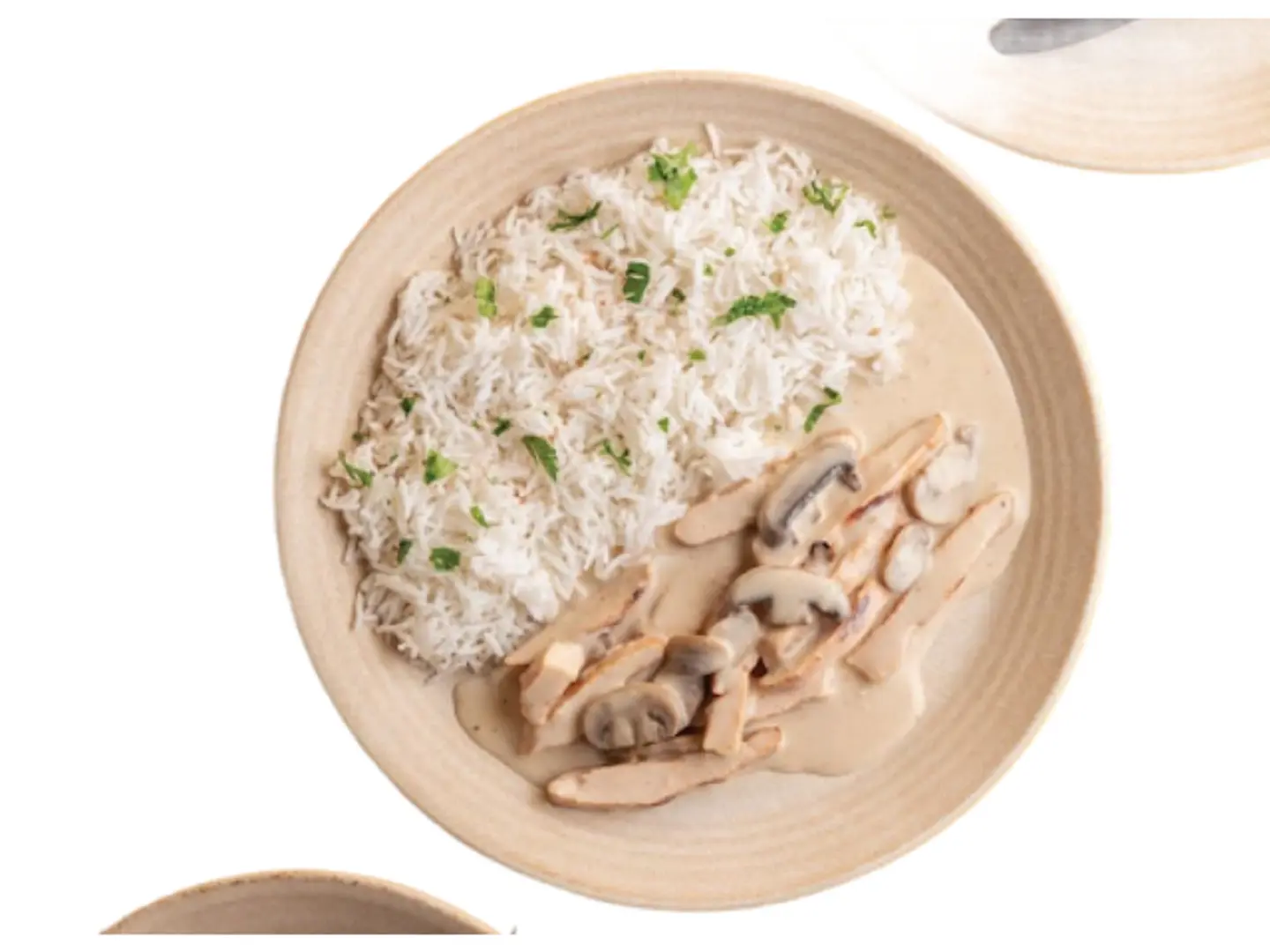 دجاج مشروم - دجاج مشروم ١٠٠ جرام