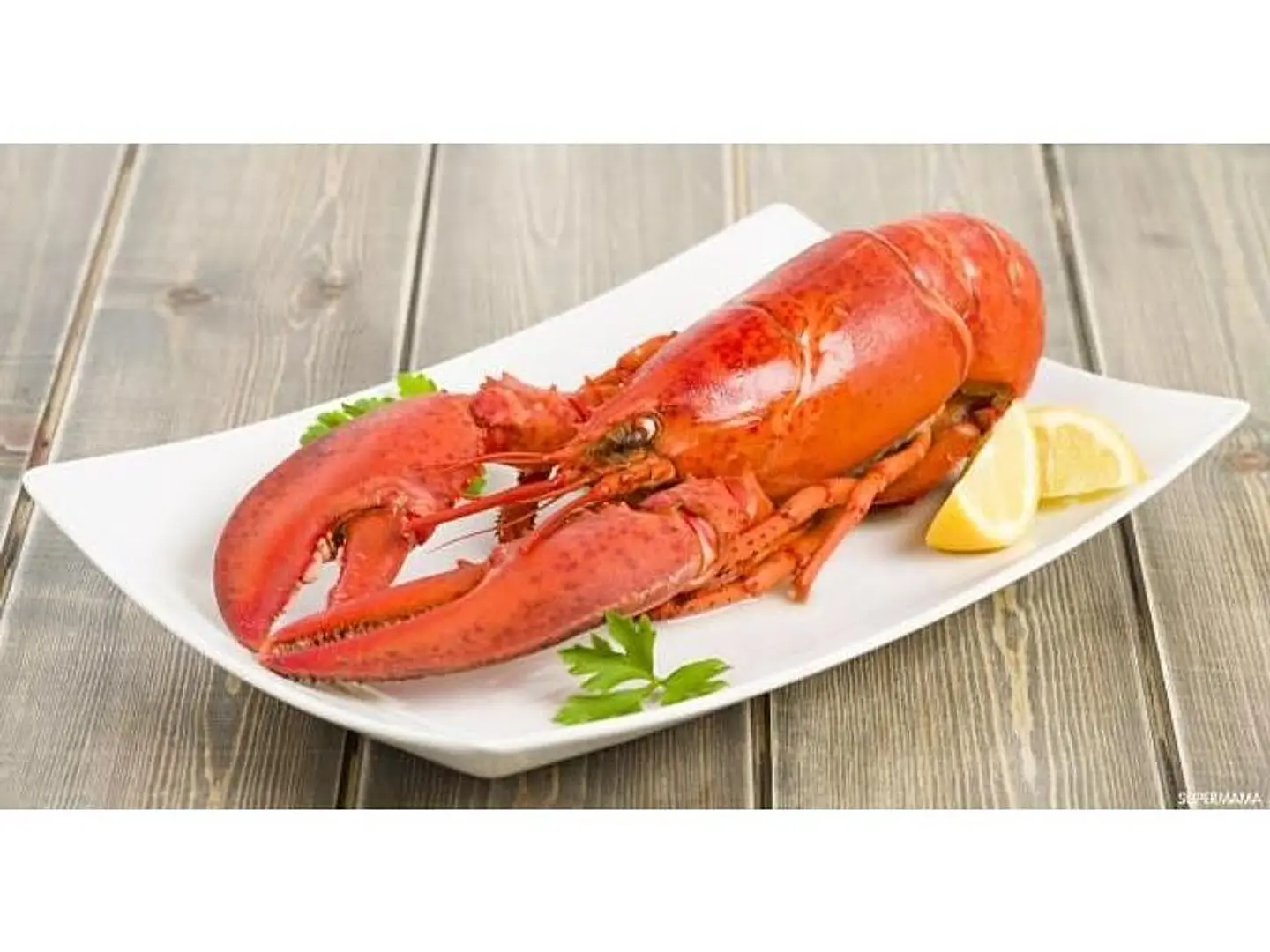 Lobster - 1 Piece Of Lobster