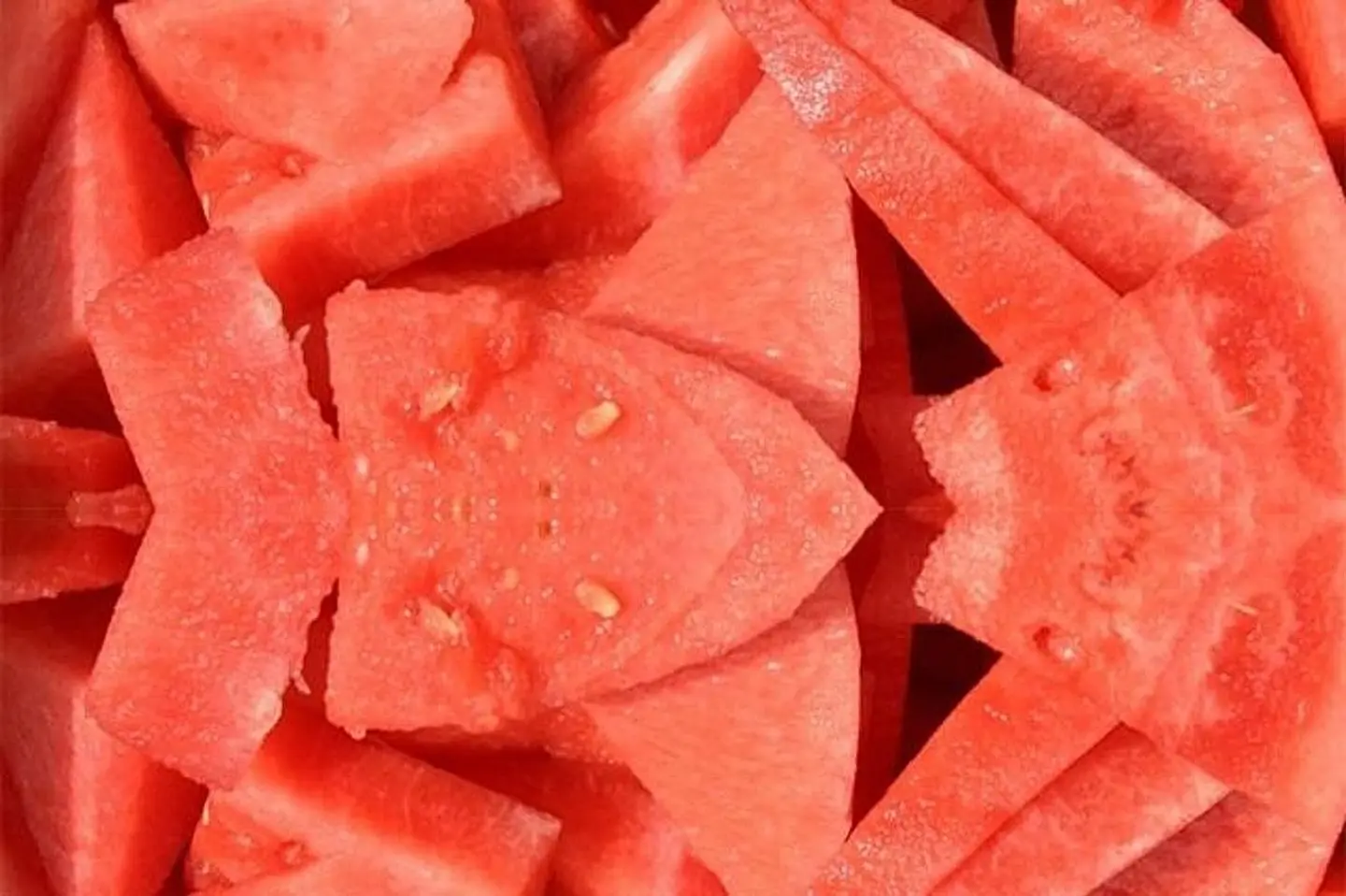 حبحب - بطيخ كبير