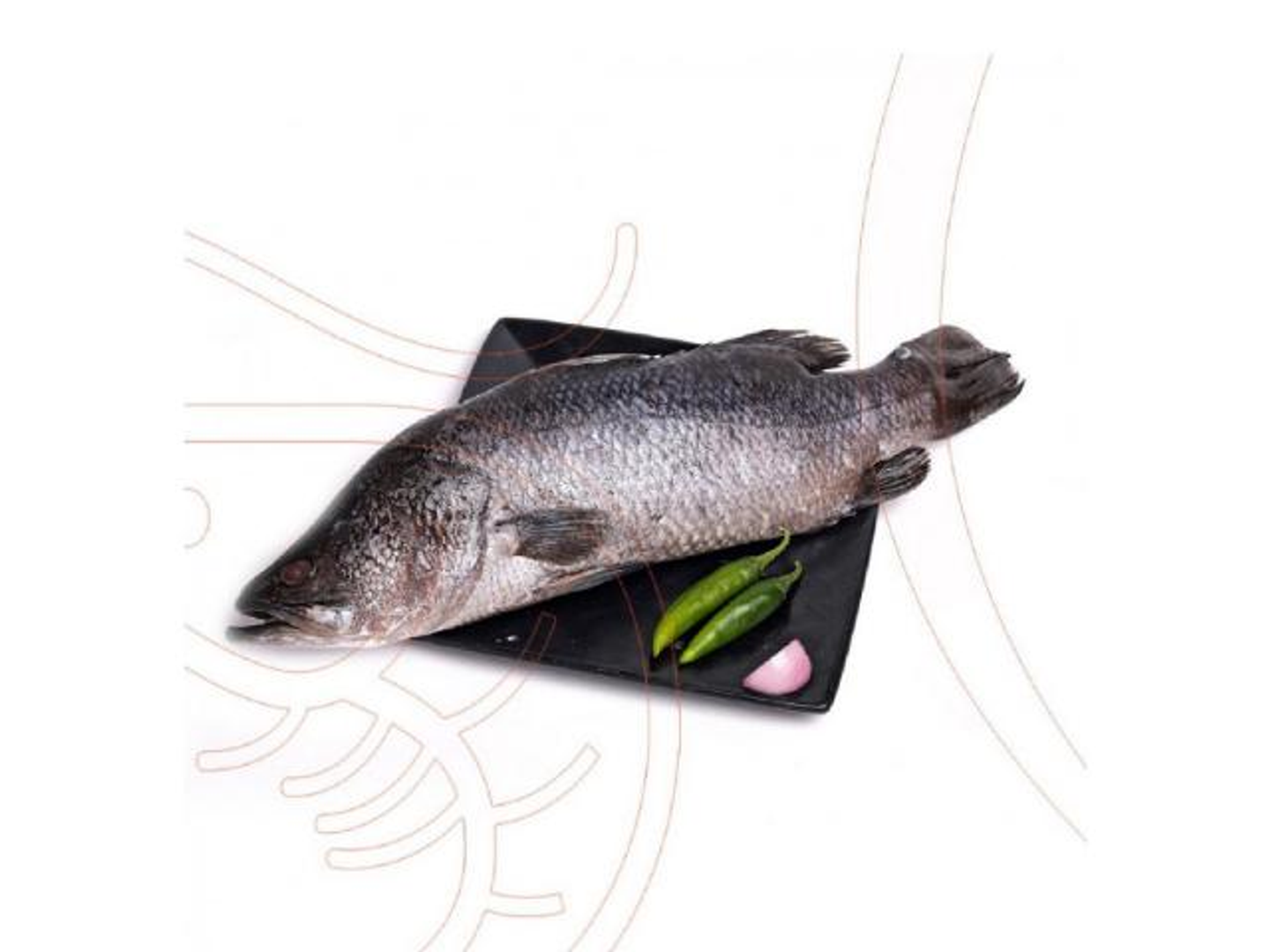 Sea Bass - 1 Kg Raw