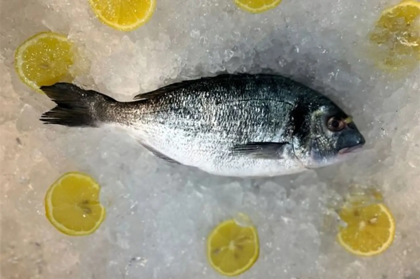 Raw Denis - ½ Kg