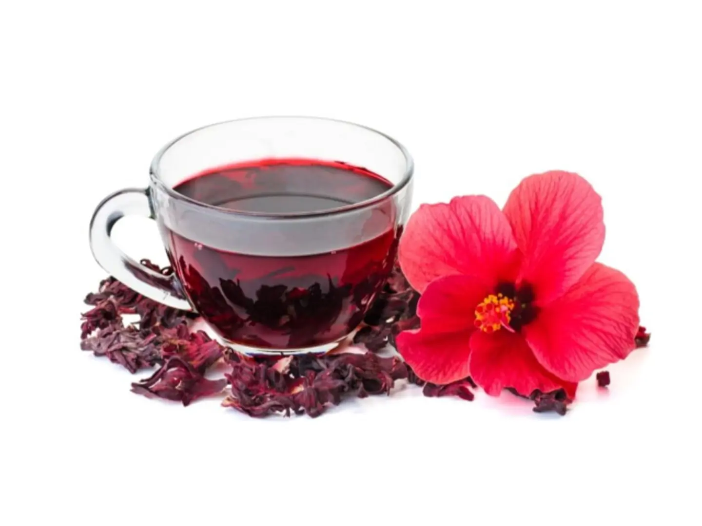 Hibiscus - Small