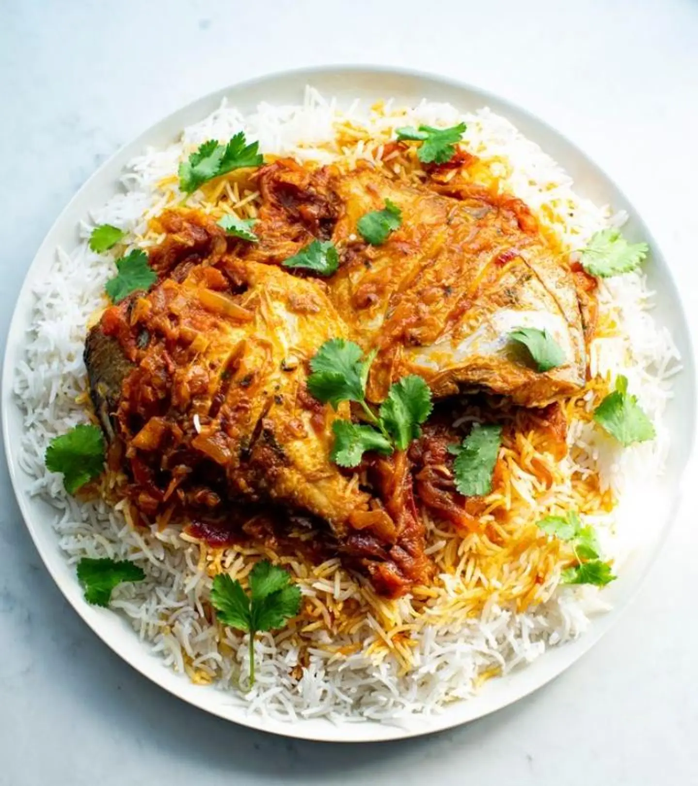 Fish Biryani - Plate