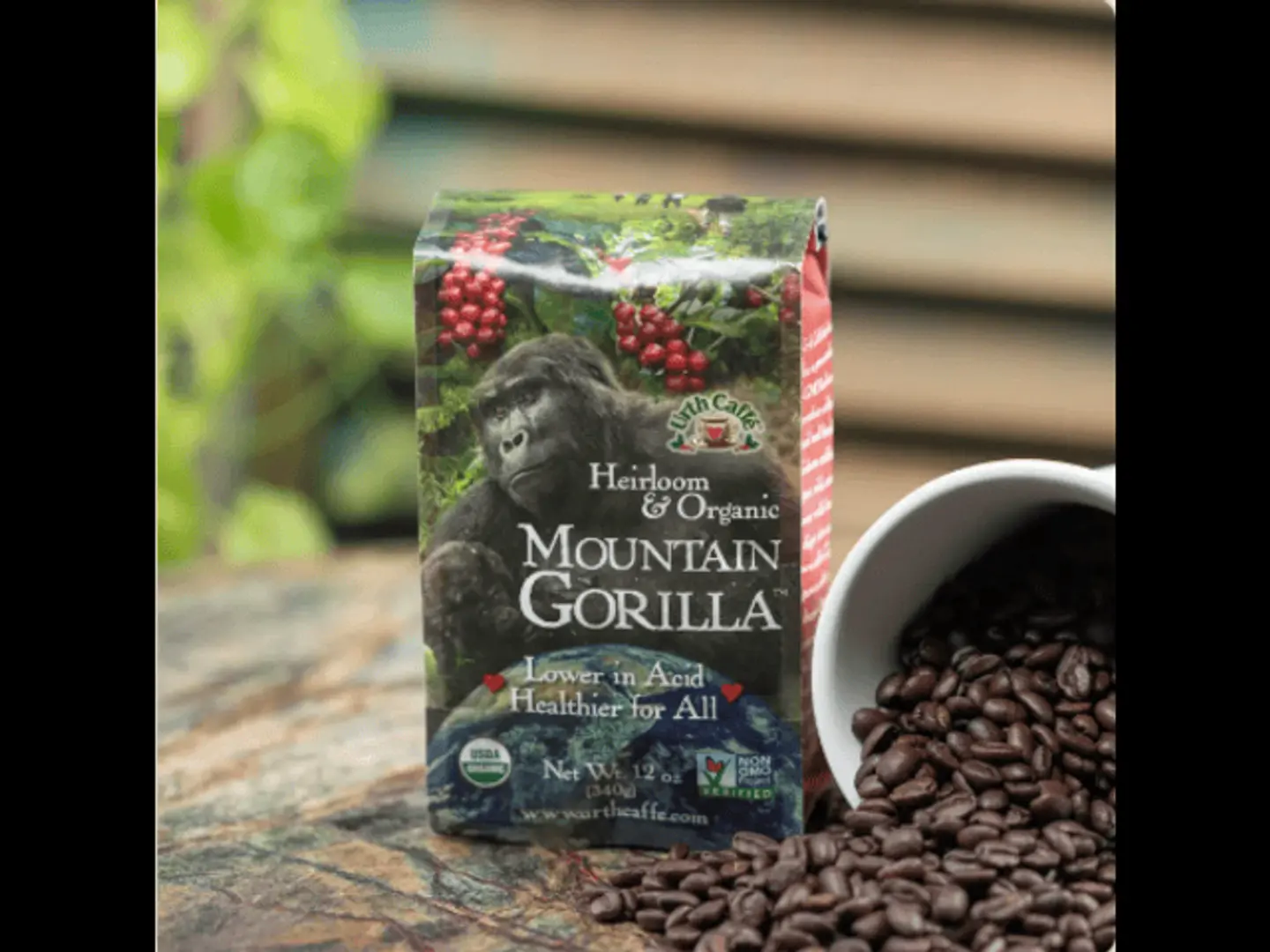 Mountain Gorilla Coffee Light Roasted - 230 Gram