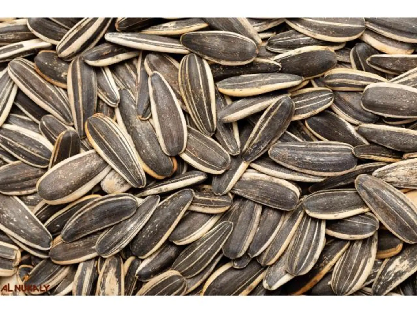 Salted Roasted Sunflower Seeds - 250 Grams
