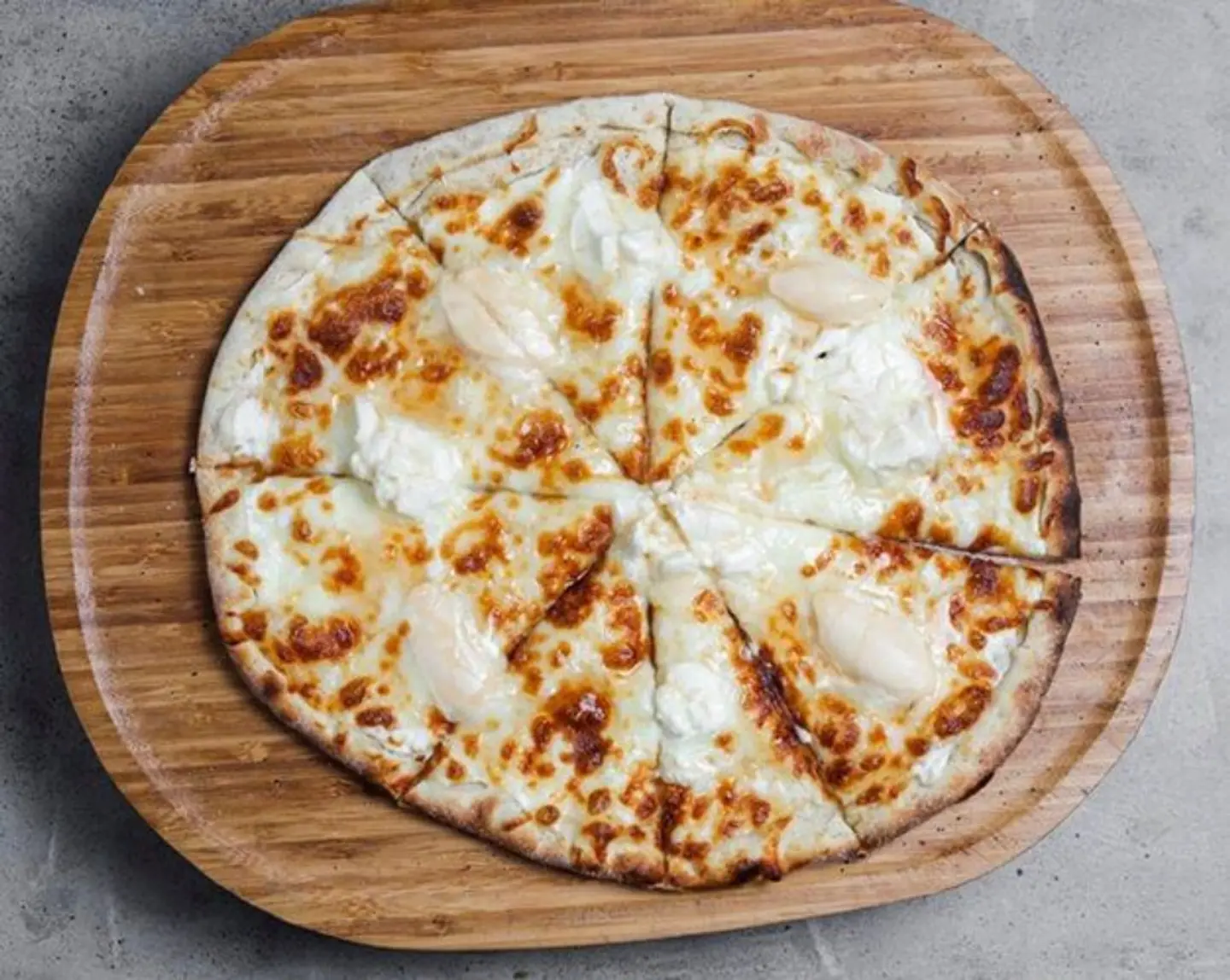 Ash Albulbul - Medium