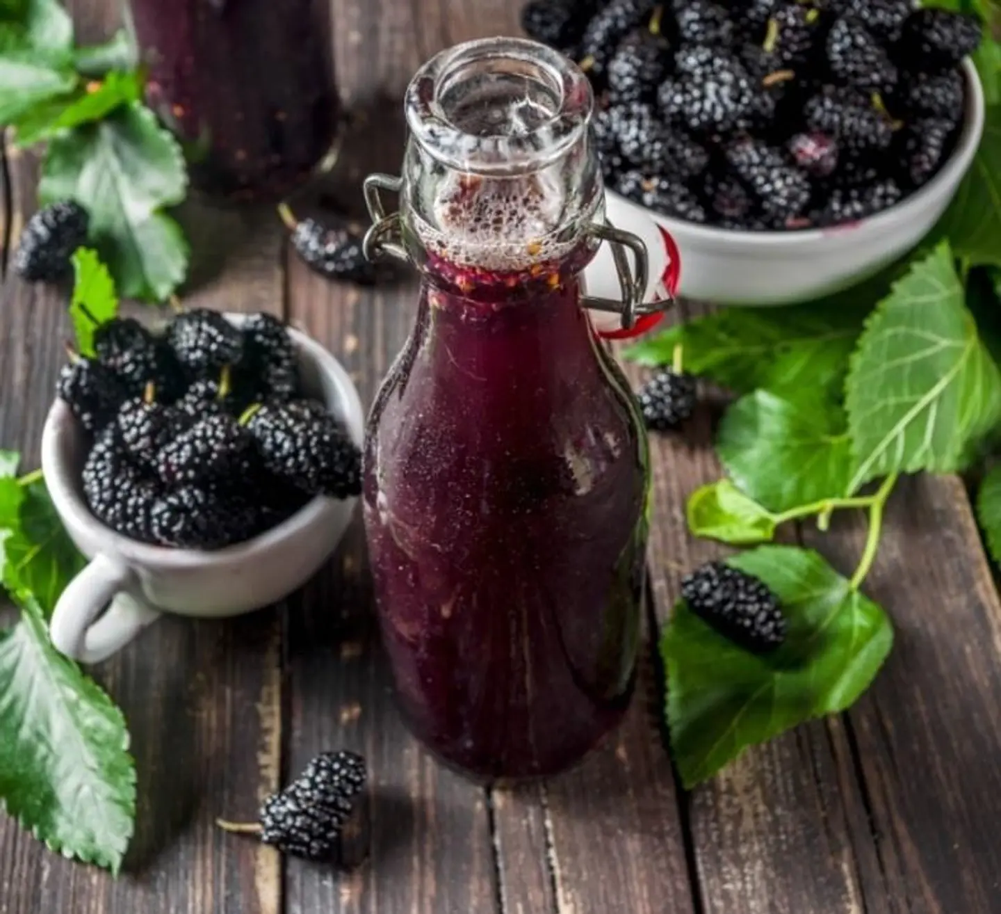 توت الشام - صغير