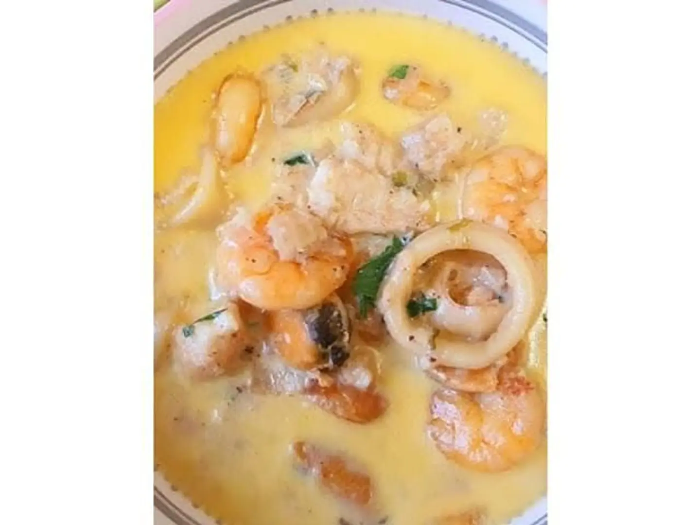 حبار الكاري - صغير