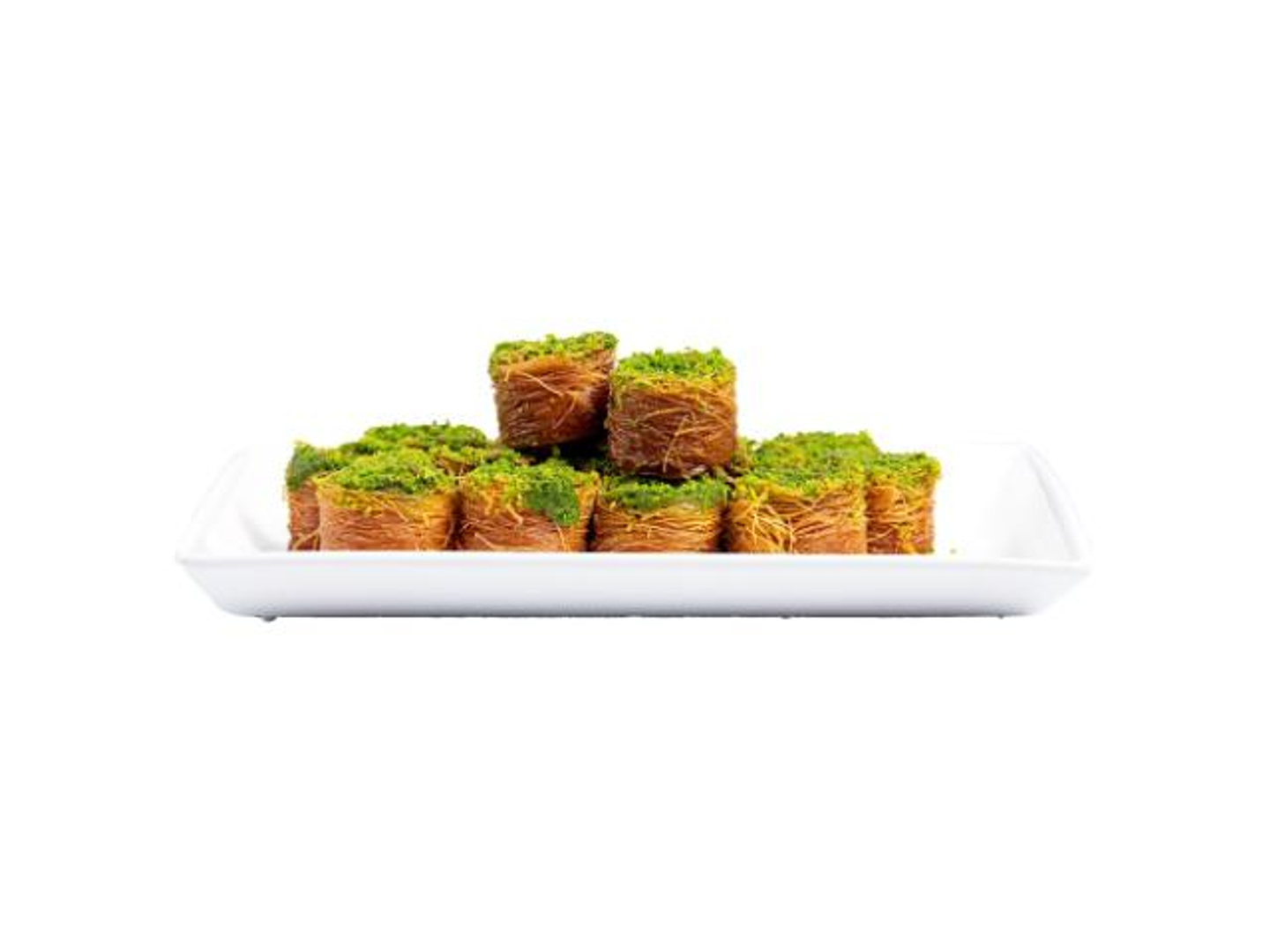 عش بلبل بستاشيو - صغير