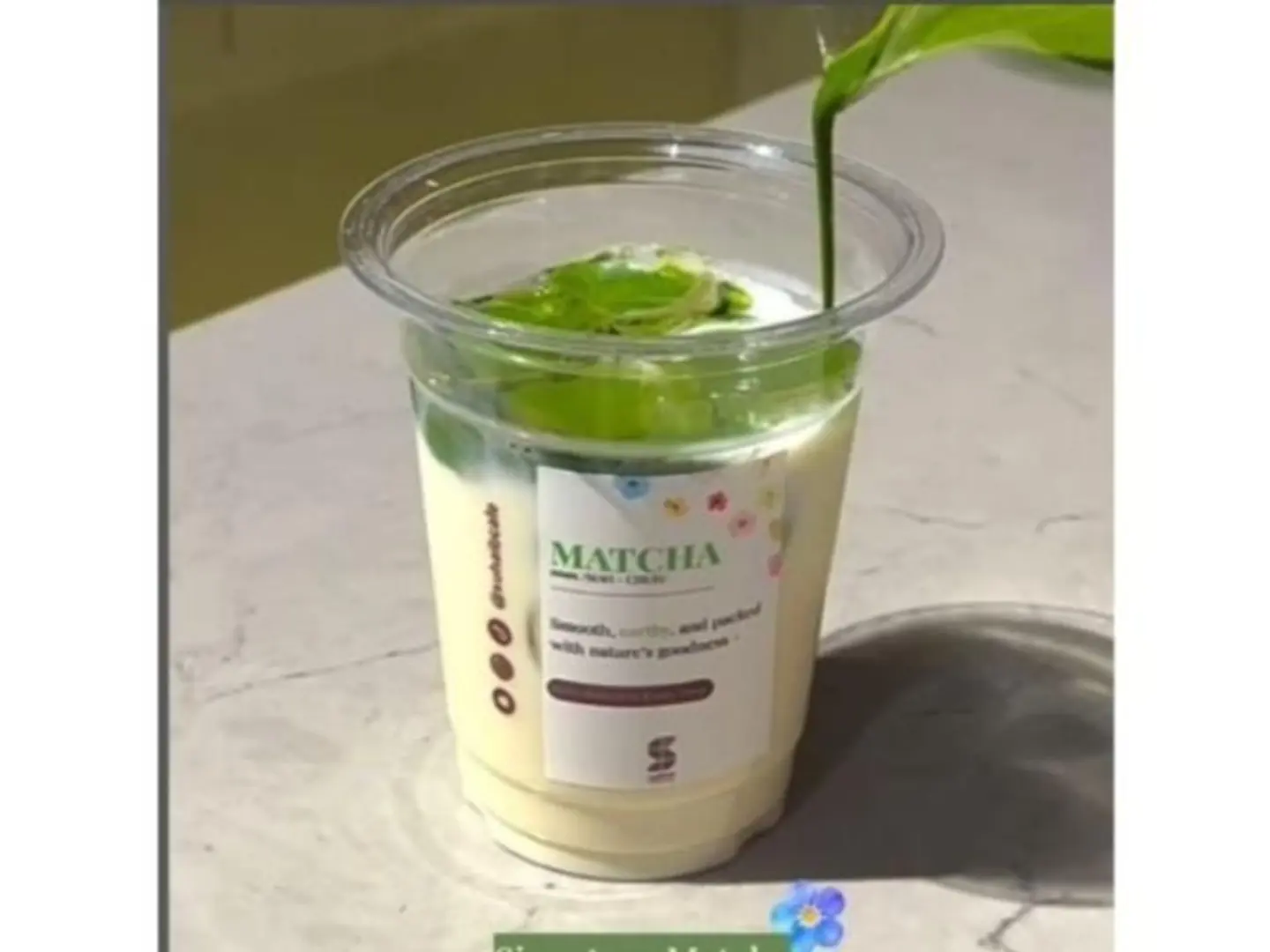 Matcha Signature - Small