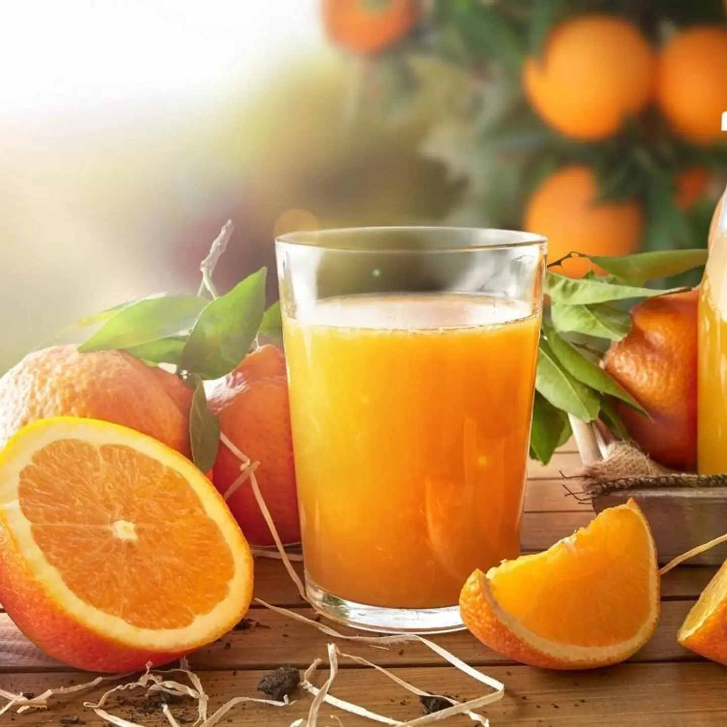 Orange - Small Cup