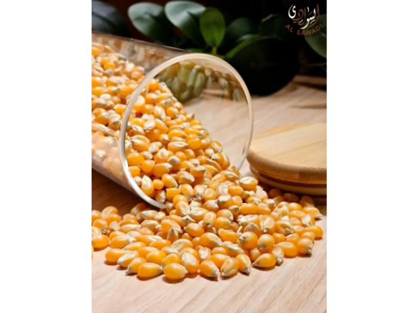 فشار - 500 جرام