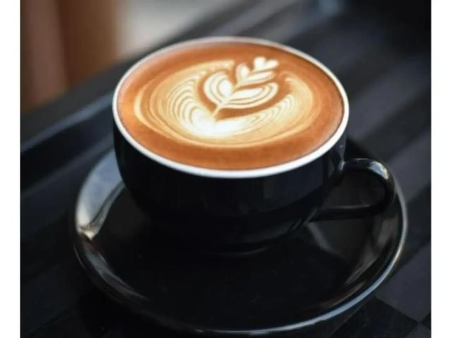 Cappuccino - Small