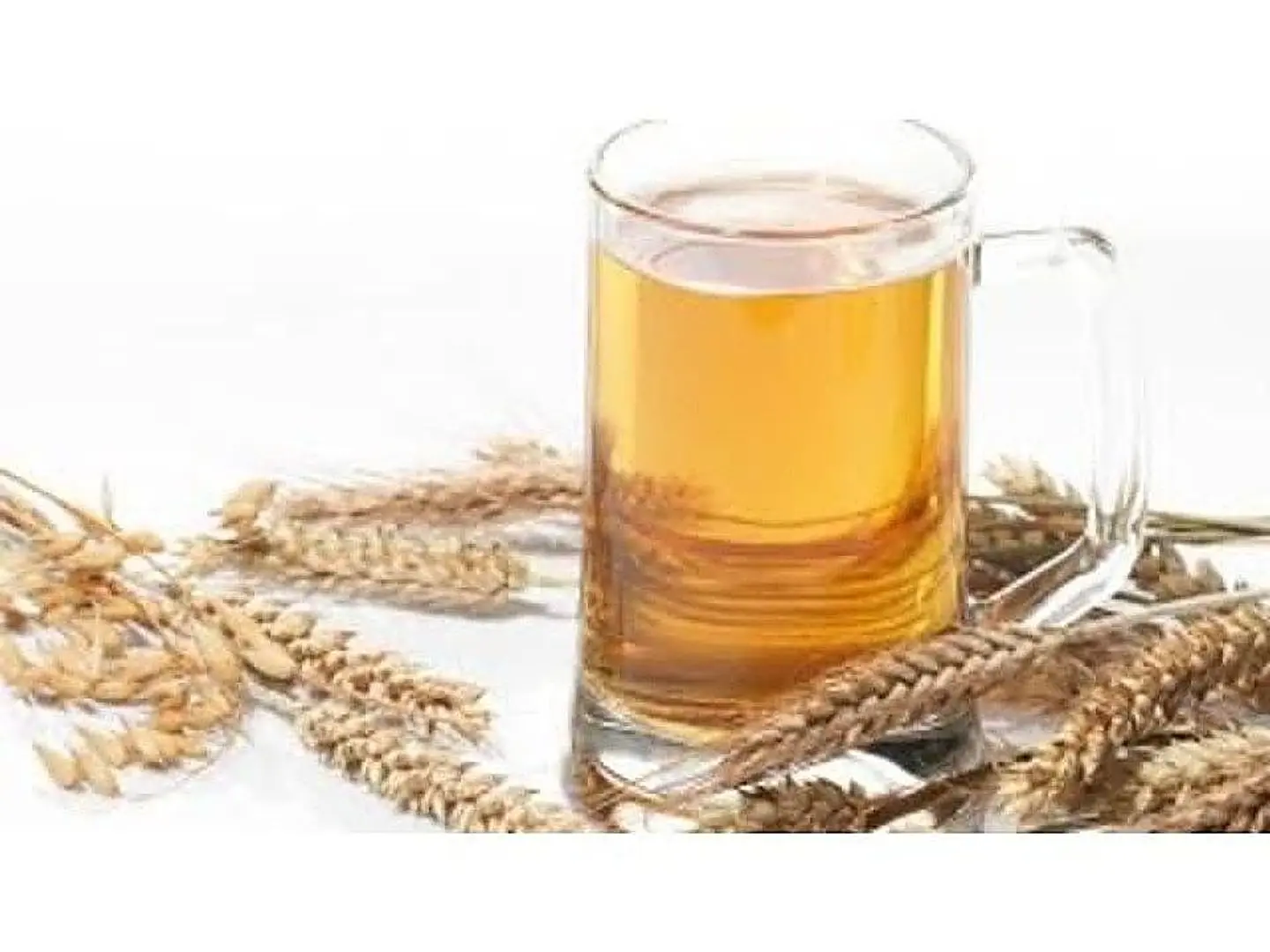 Barley - Medium Cup