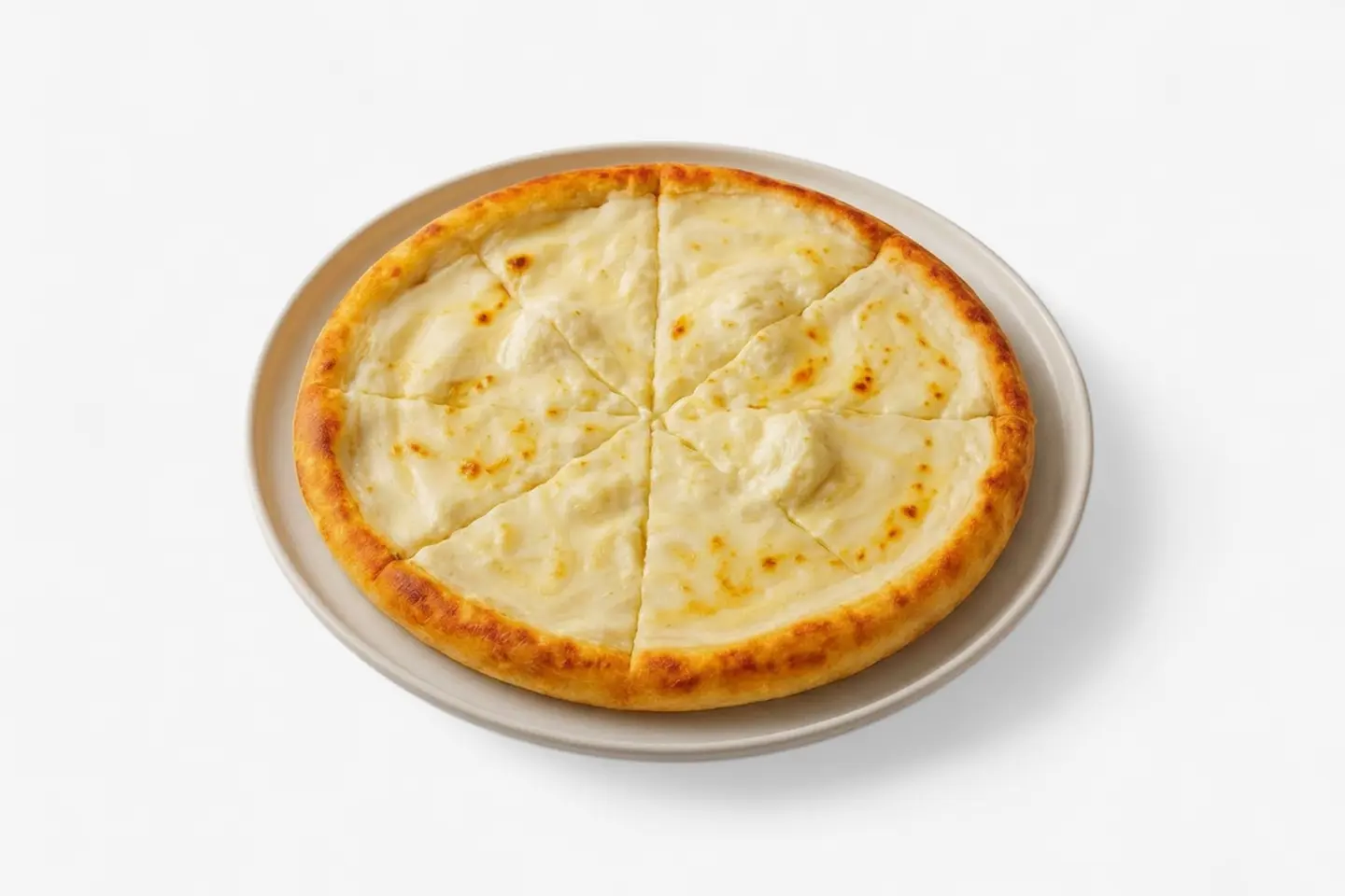 Bulbul's Nest Pizza - Large Size