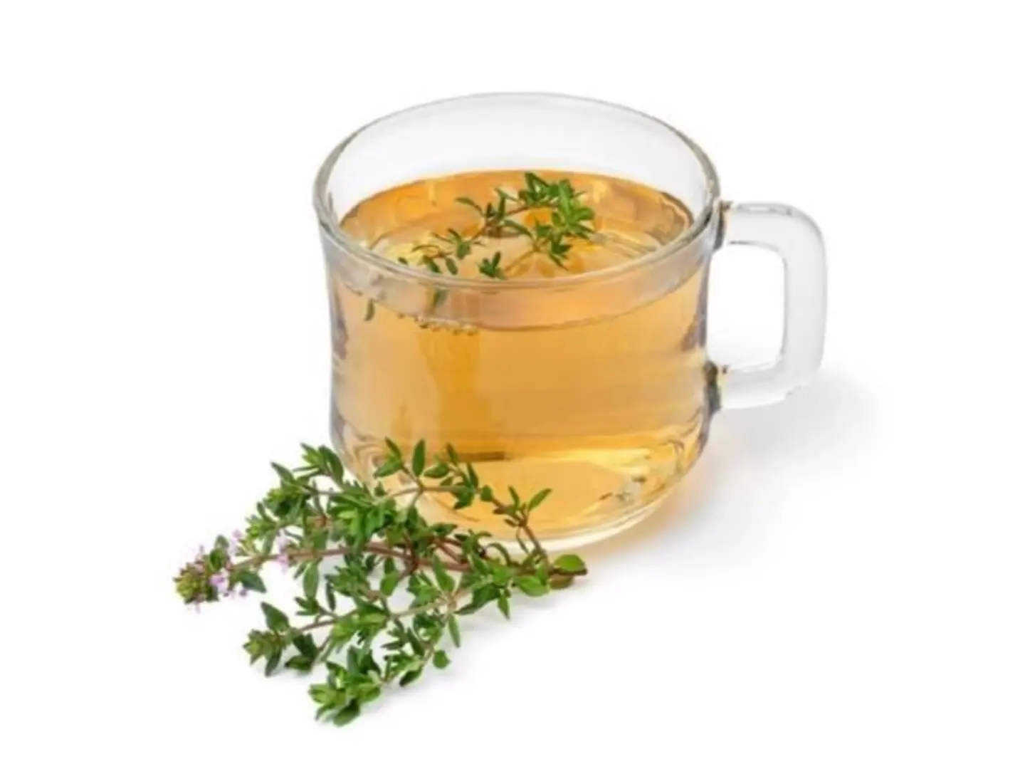 Thyme Tea - Large