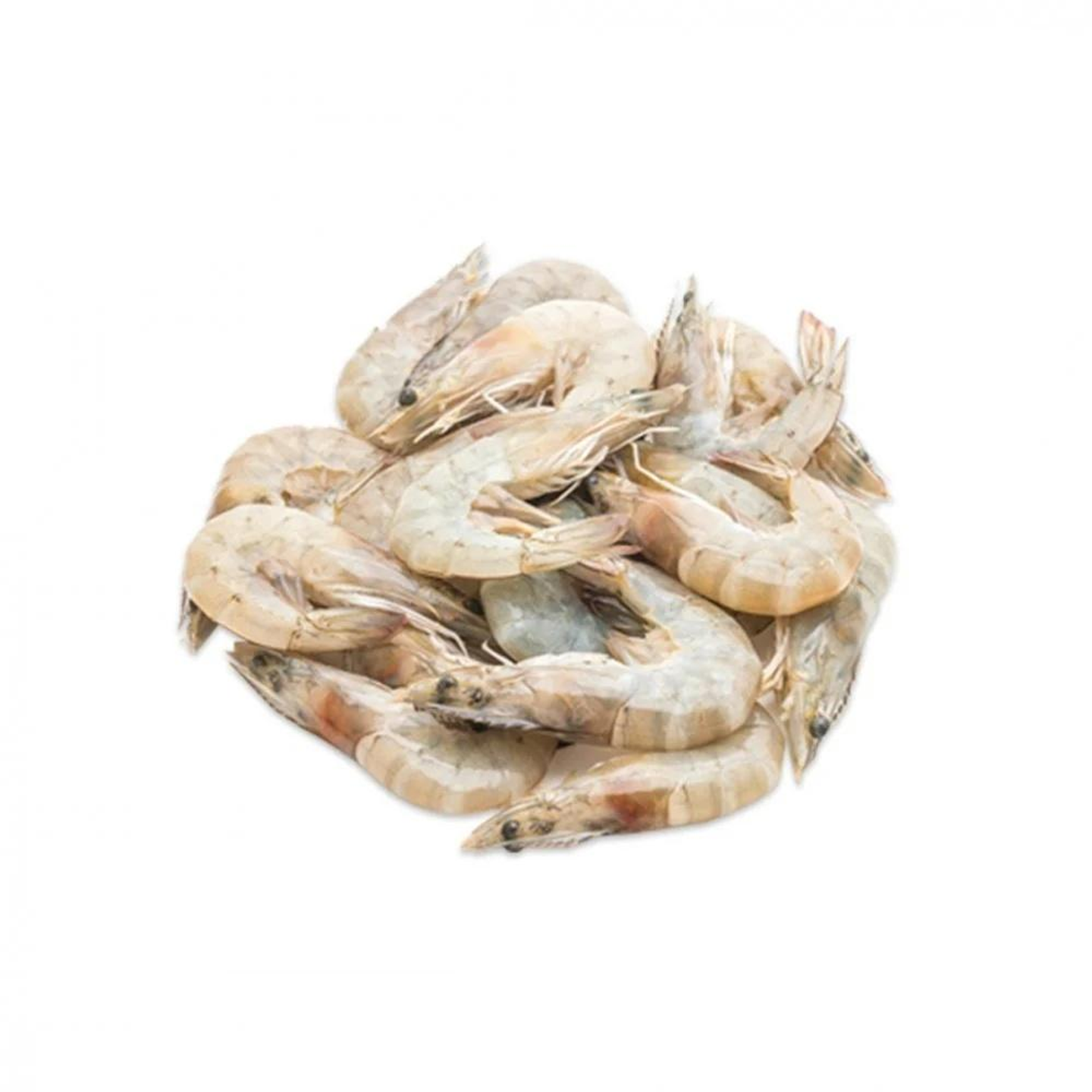 Medium Sea Shrimp - 250 Grams