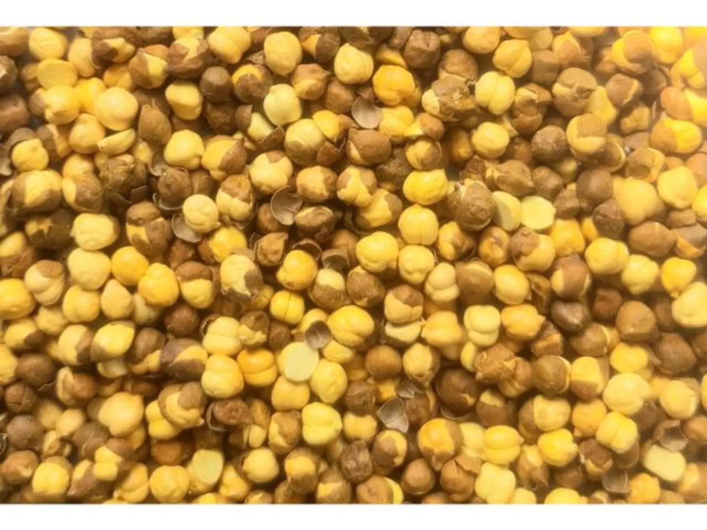 Roasted Indian Chickpeas - 500 Grams