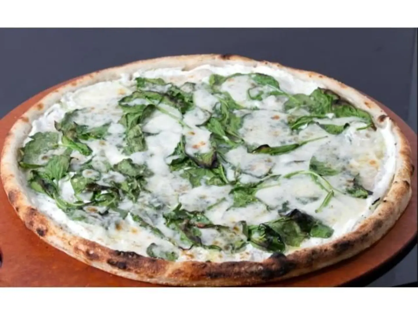 سبانخ جبن دائرية - صغير