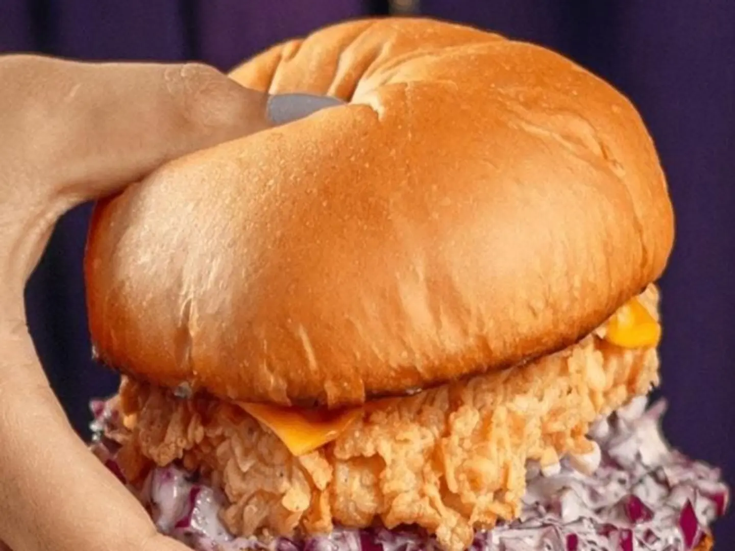 رانش دجاج - عادي