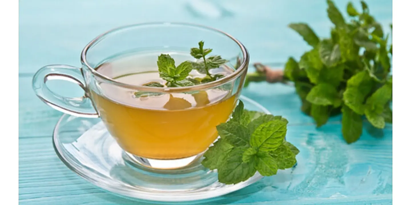 Taif Mint - Cup