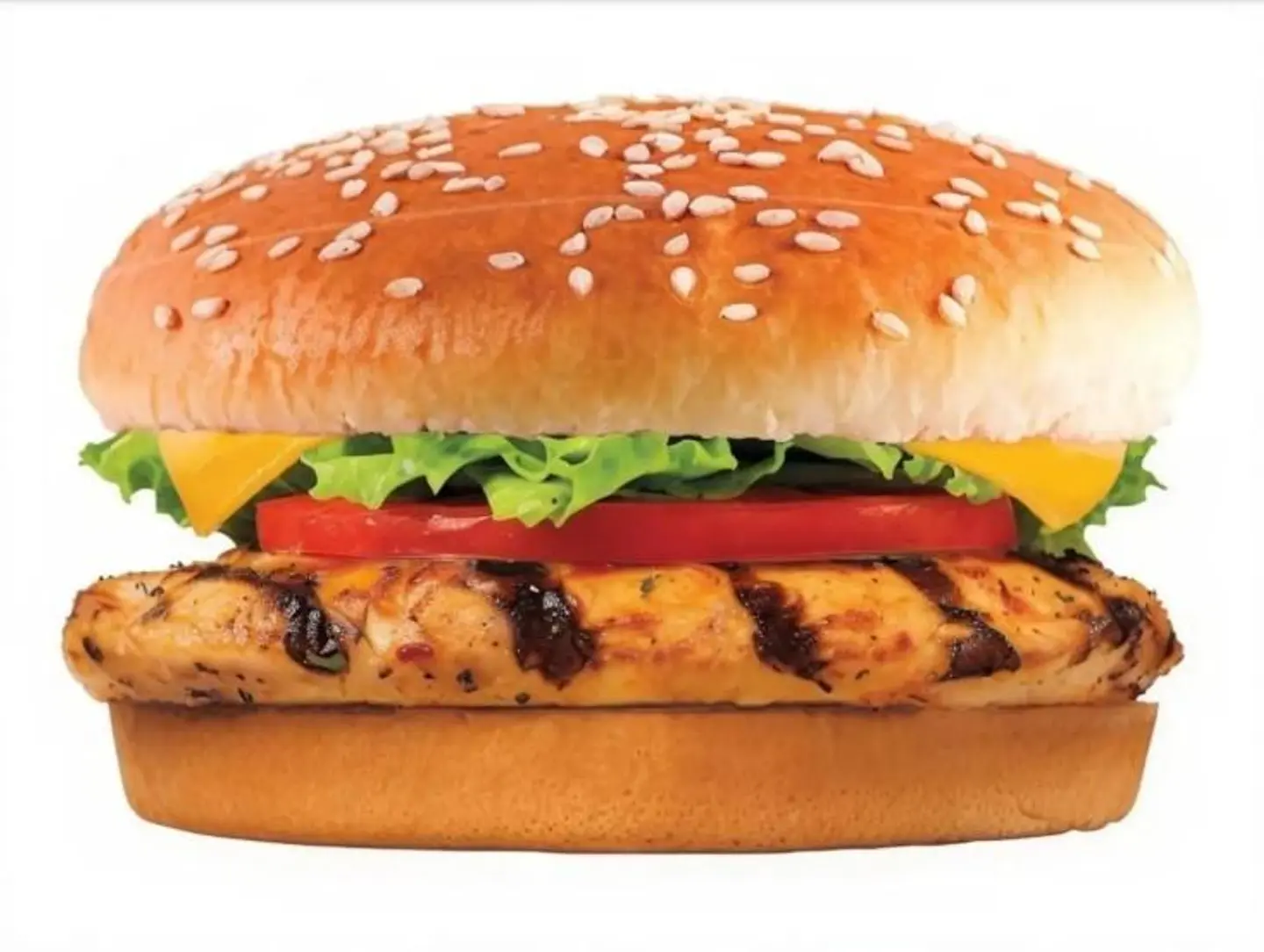 Grilled Chicken Burger - Regular