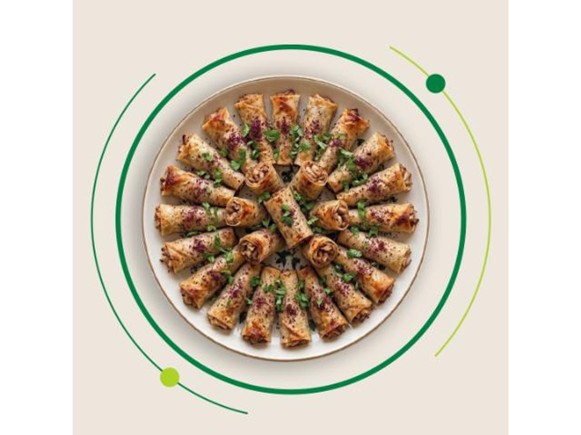 مسخن دجاج - 10 حبات