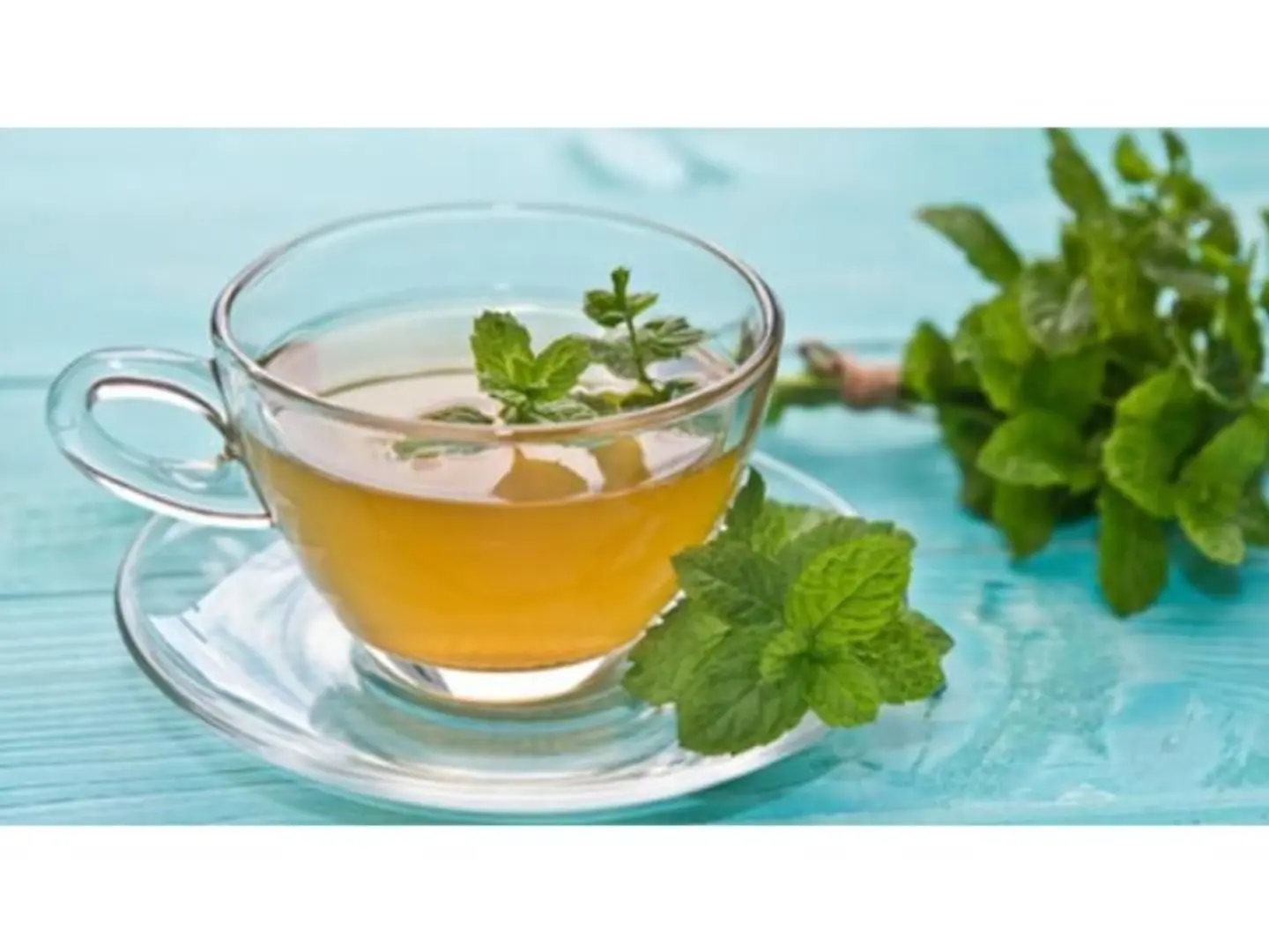Taif Mint - Cup