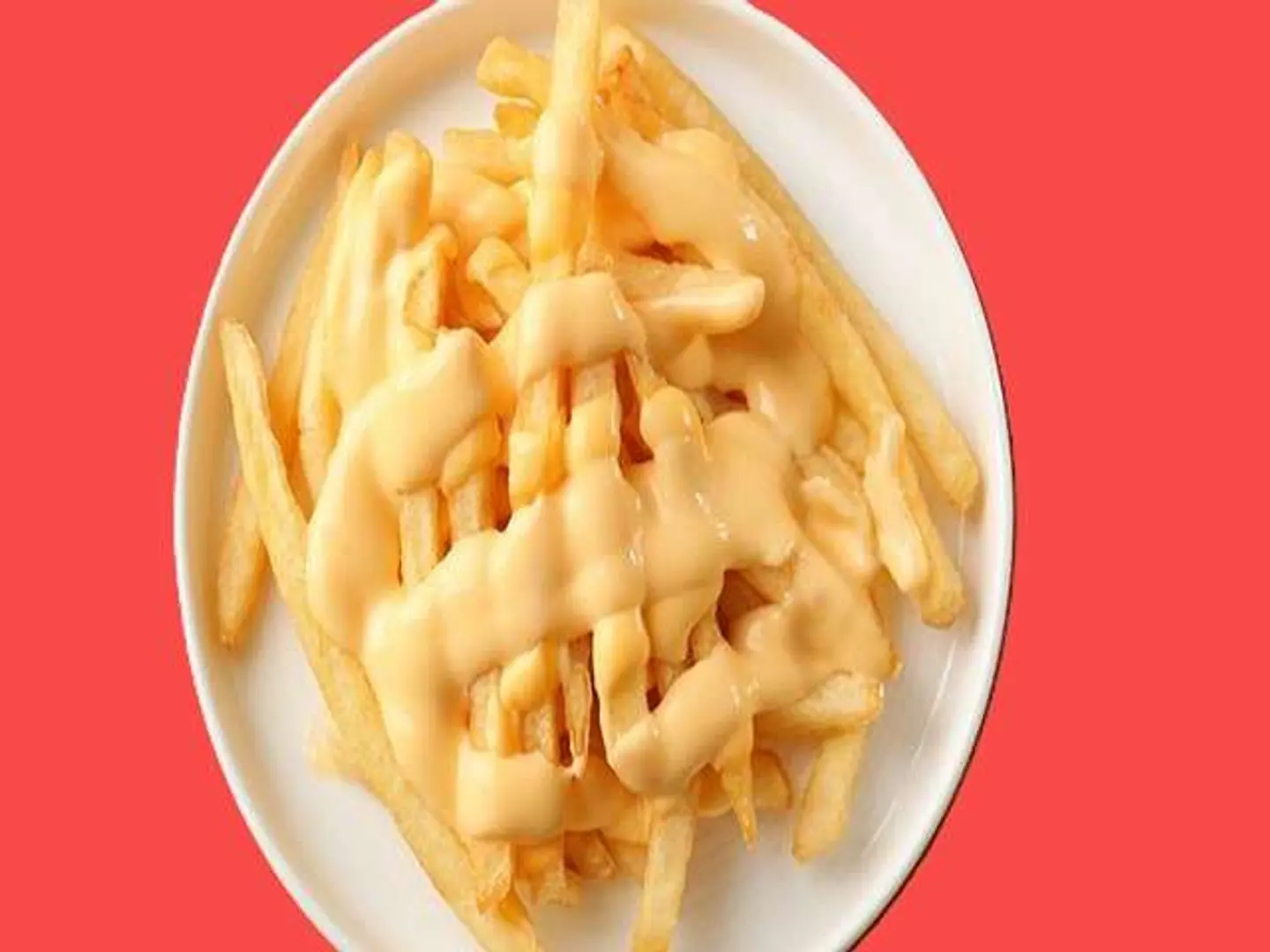 Cheesy French Fries Plate - Small