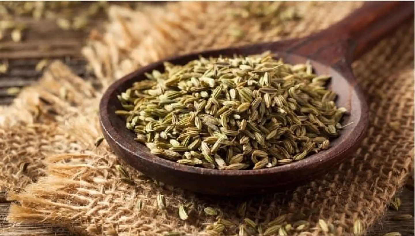بسباس مطحنة - صغير