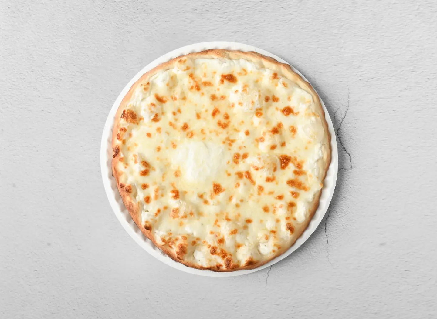 Ash Albulbul Plain - Small