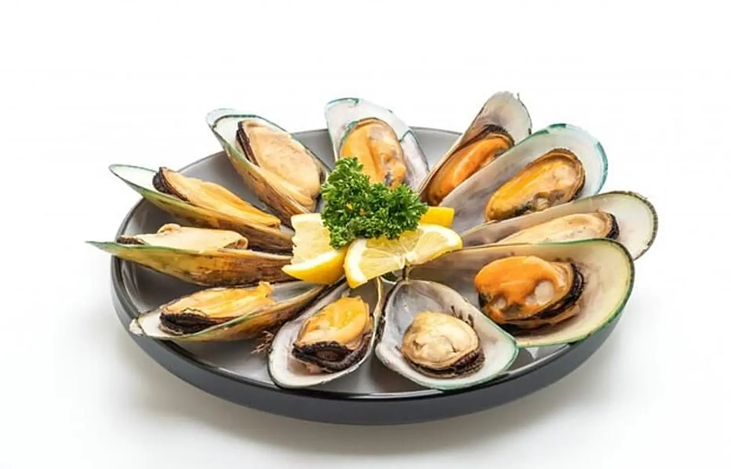 Oyster - Half Of The Oyster