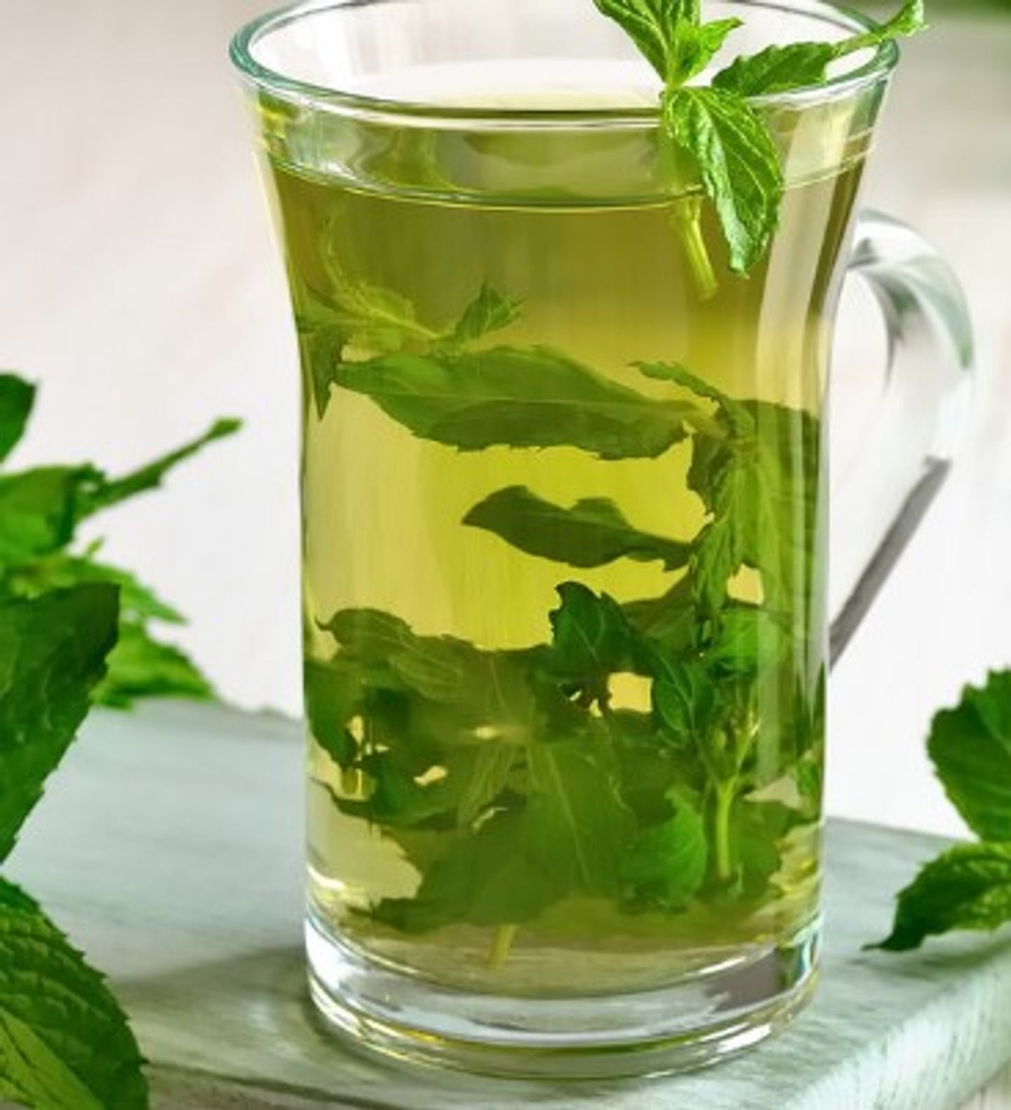 نعناع سادة - صغير