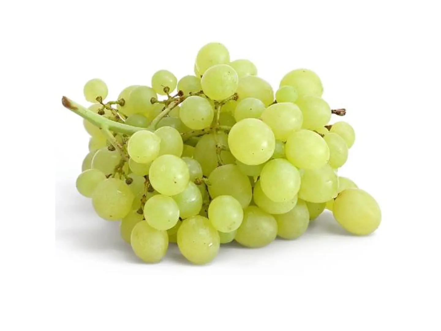 White Grape - 500 Grams