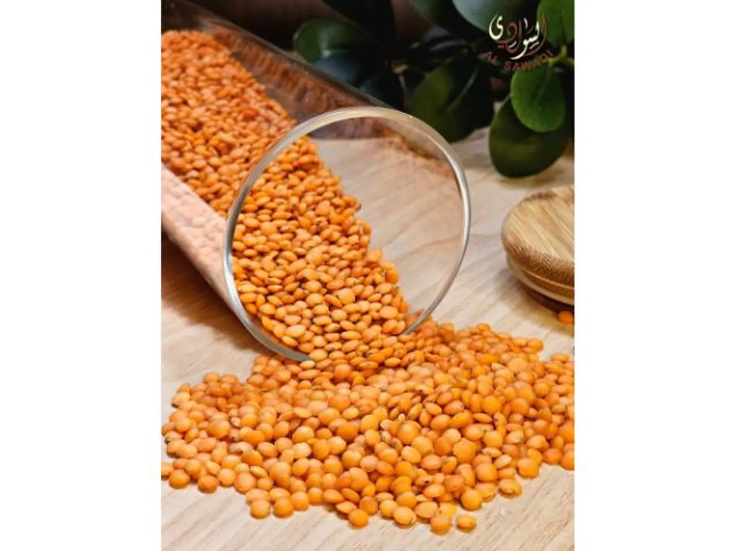 عدس احمر - 500 جرام