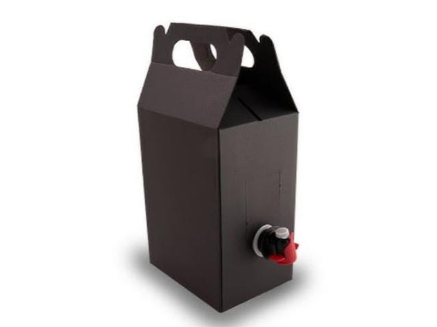 Rewa Coffee Box - Hot