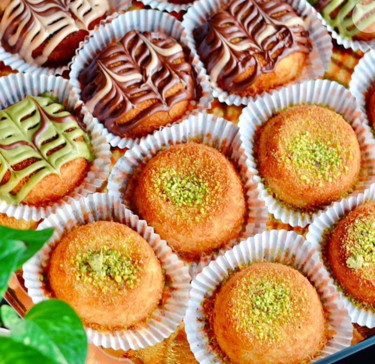 كب كنافة - 6 قطع