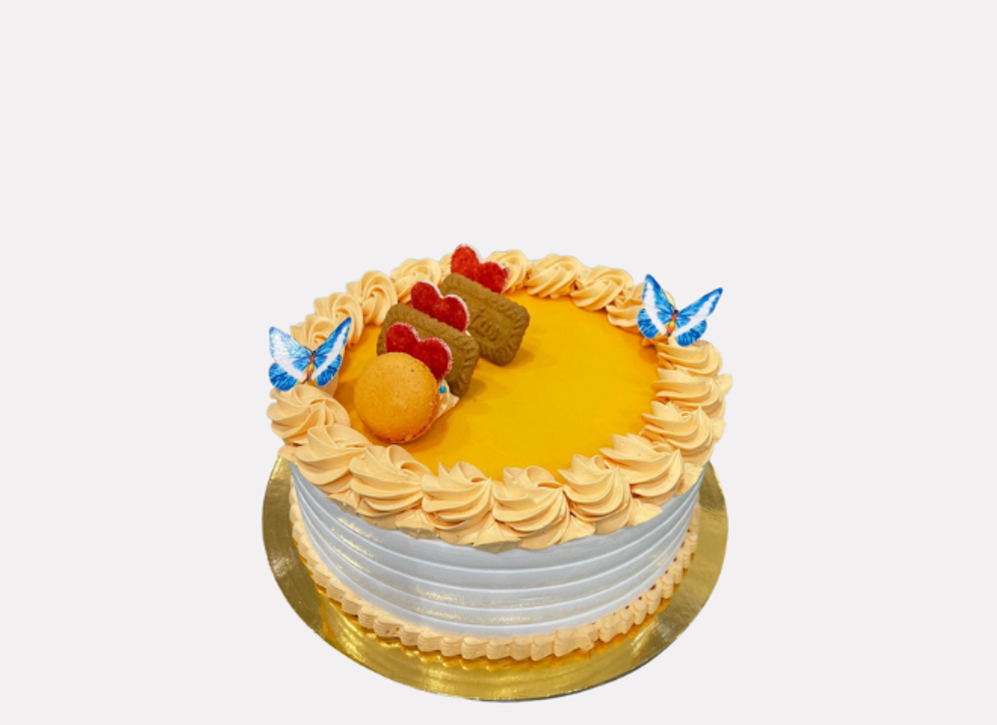 Mango Cake - Mango Cake Size 22