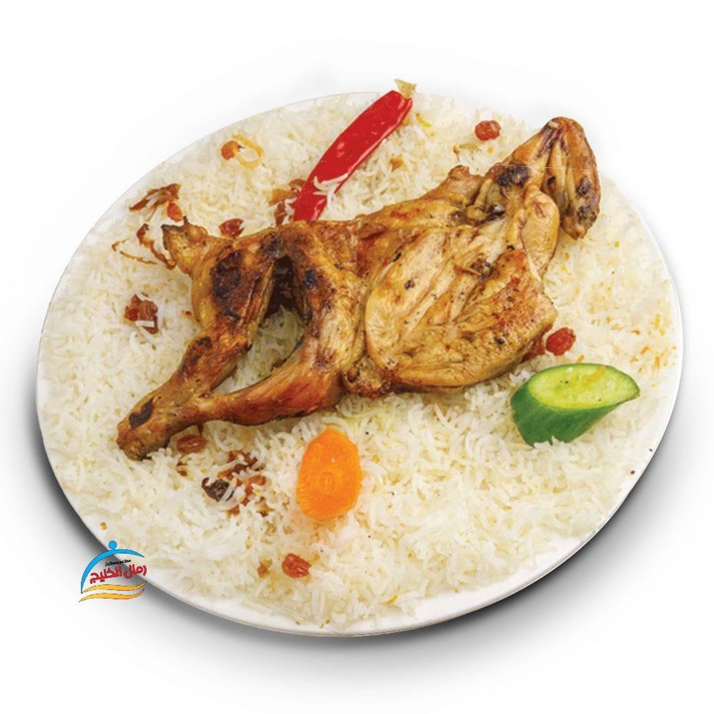دجاج مظبي - نص دجاج