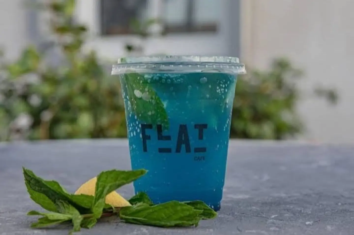 Blueberry Mojito - Large Size 16 Oz Cup