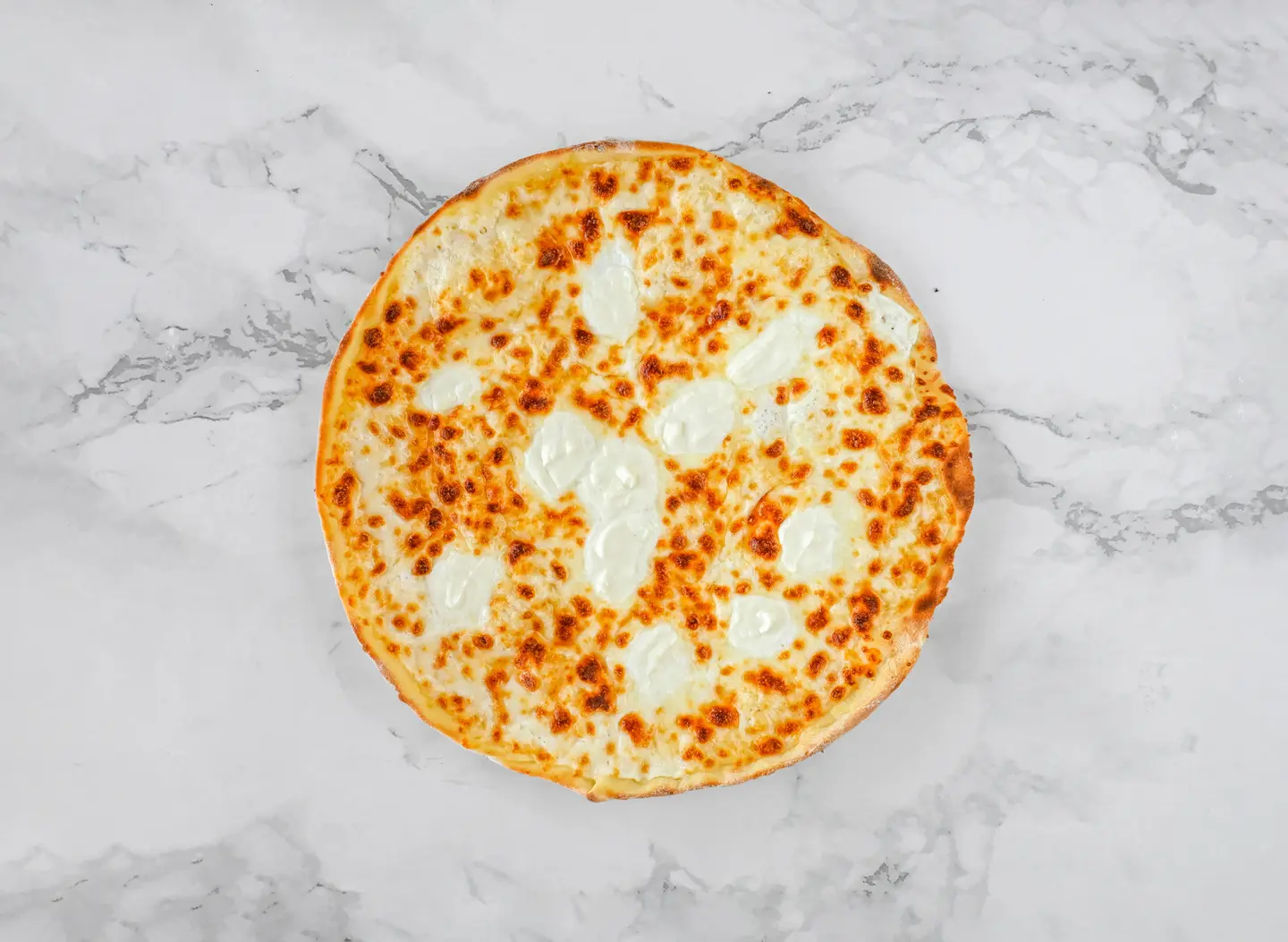 عش البلبل عادي - وسط