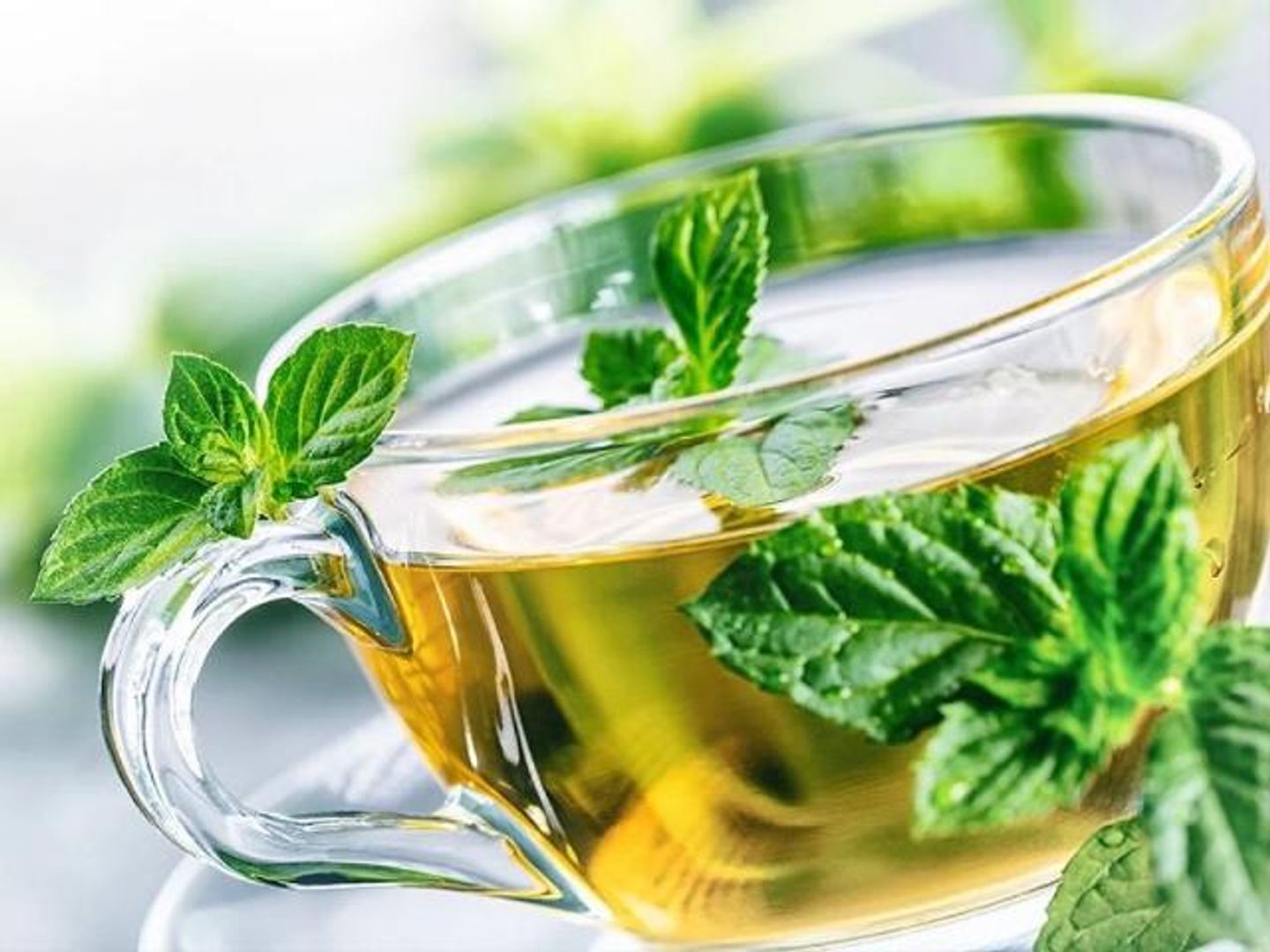 Mint Tea Cup - Small