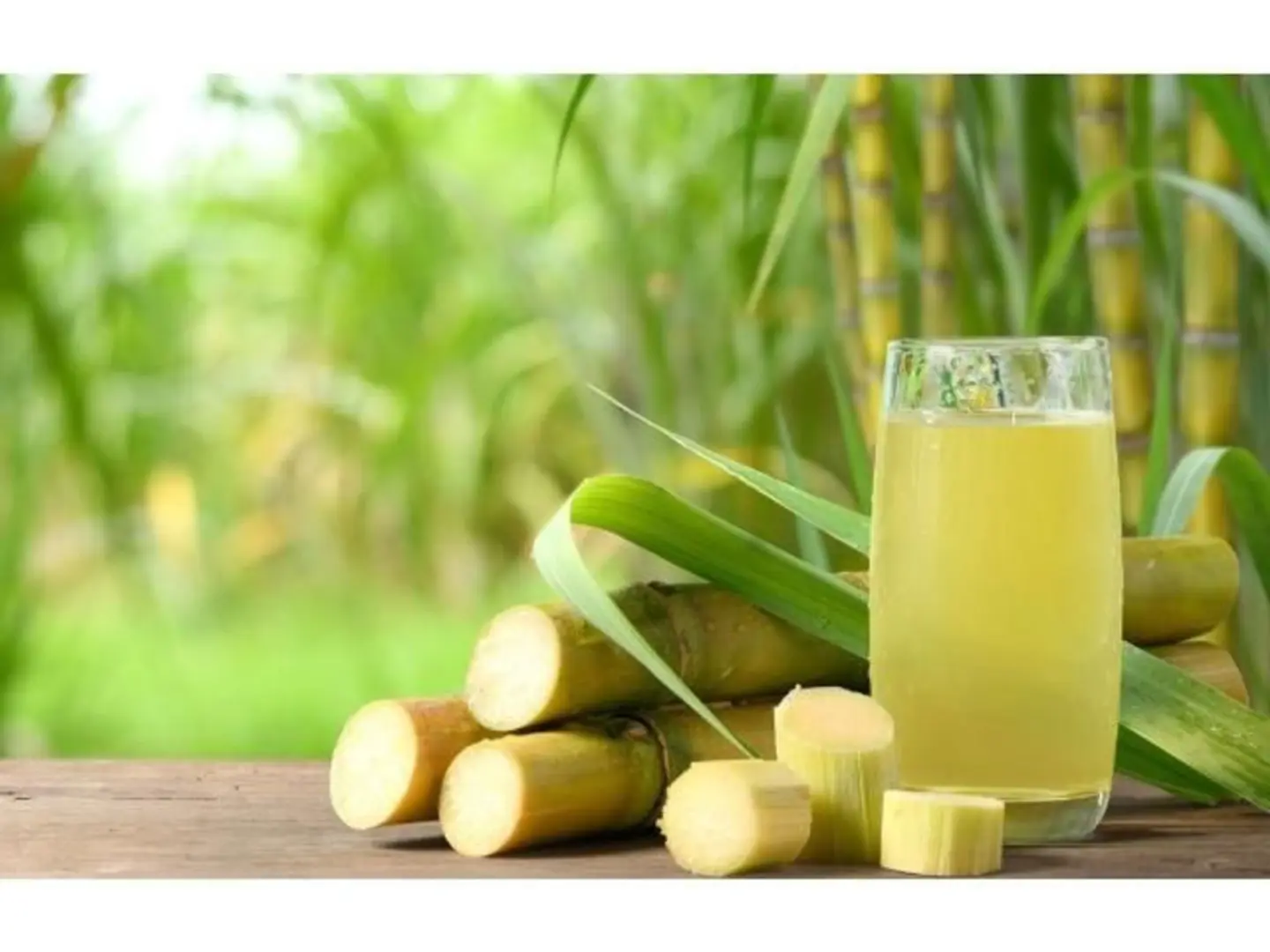 Sugar Cane - Small
