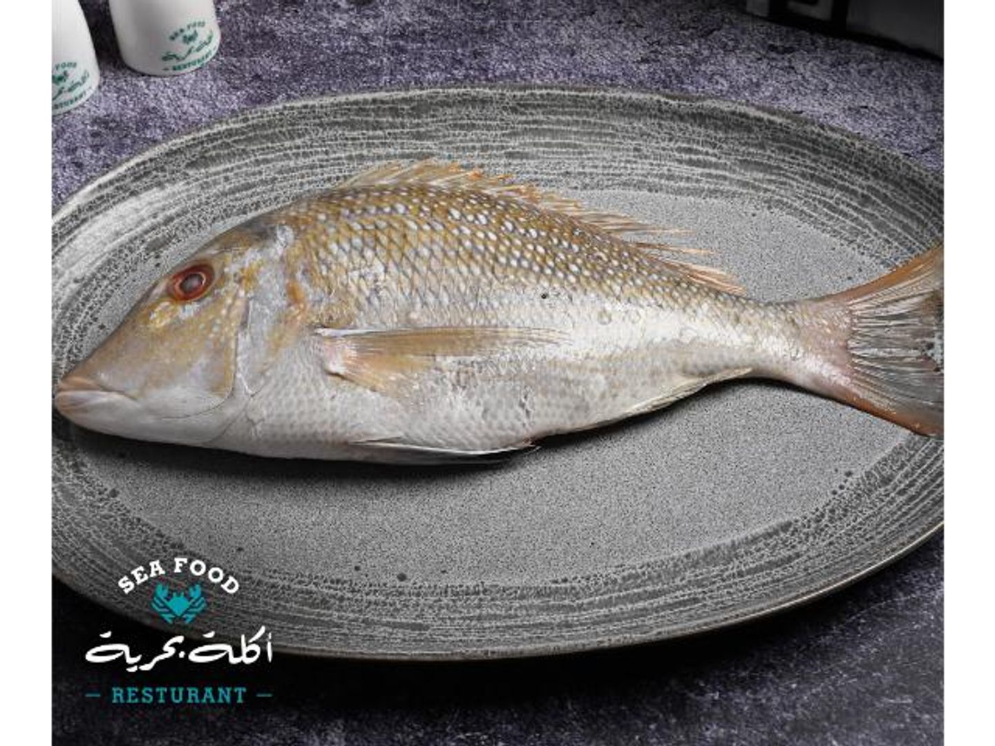 Squid - 500 Gram