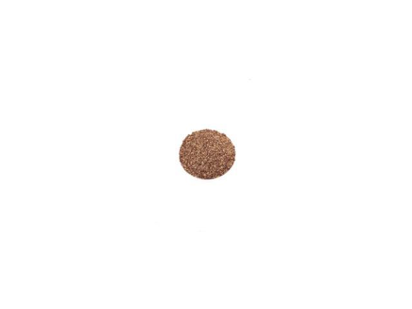 Camel Thorn Seeds - 100 G