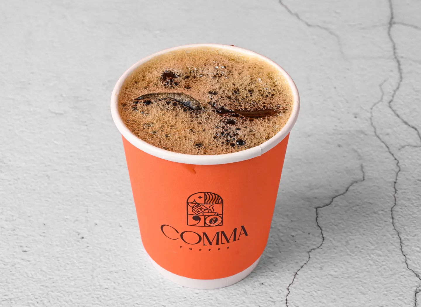 قهوة اليوم بارد - صغير