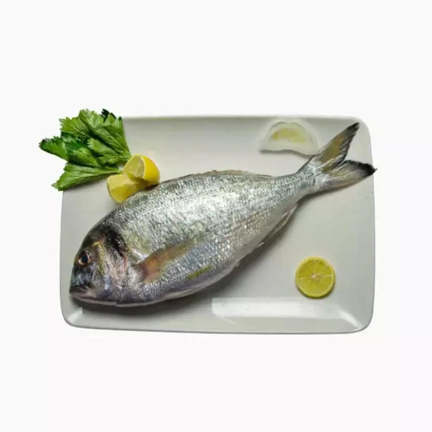 Sea Bream Fish - Fried