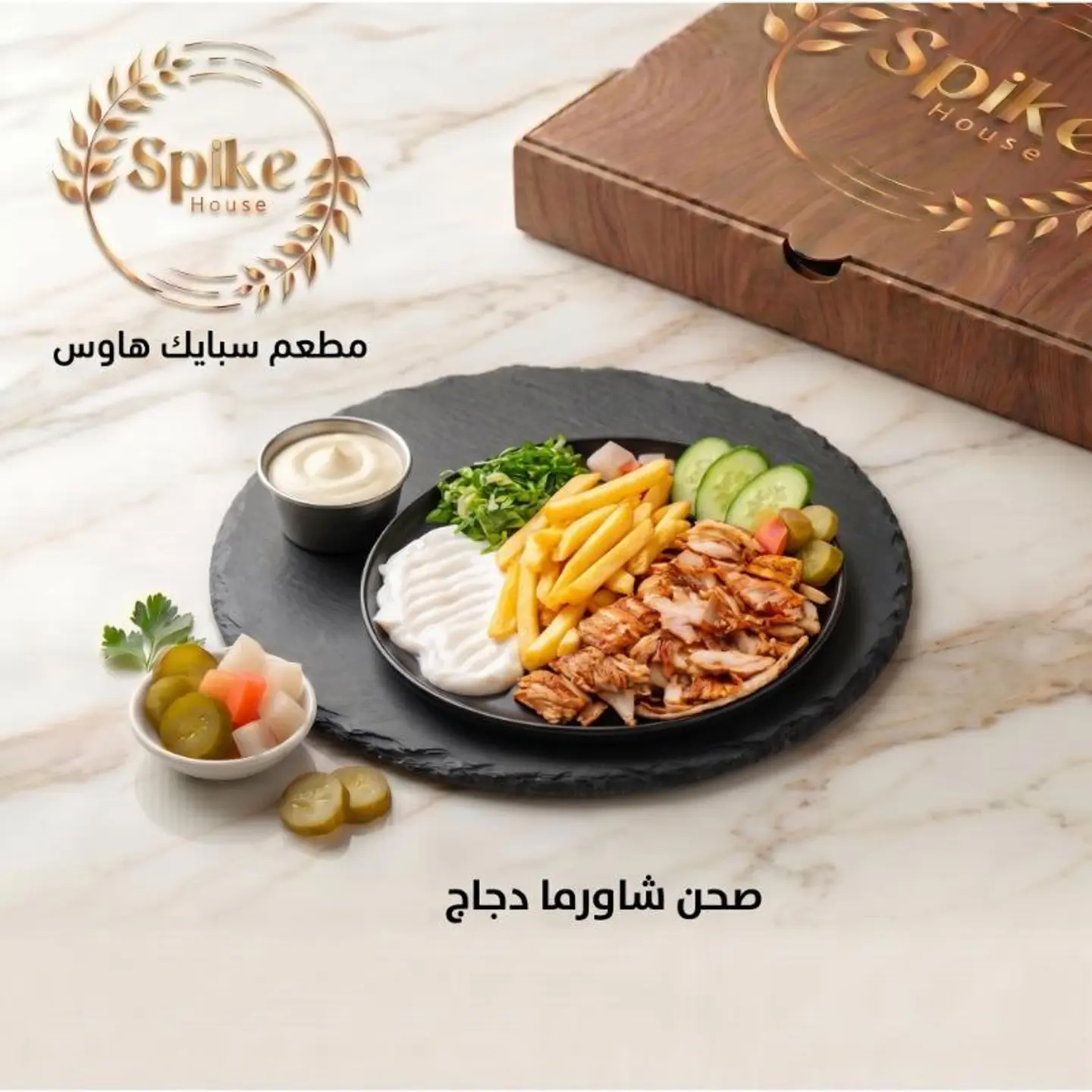 Shawarma Plate - Medium