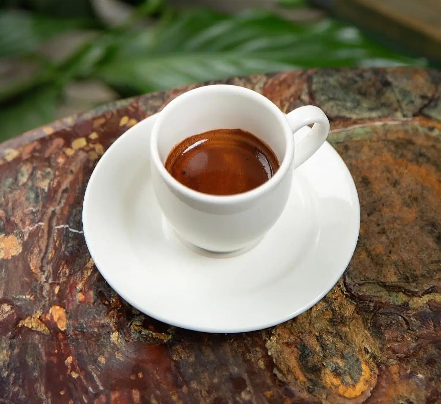 Espresso - Single